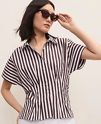 Ann Taylor Striped Pleated Blouse Rich Walnut Women's