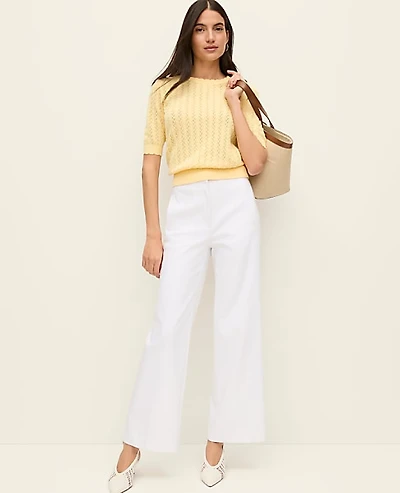 Ann Taylor The Petite Grace Straight Pant Size 16 White Women's