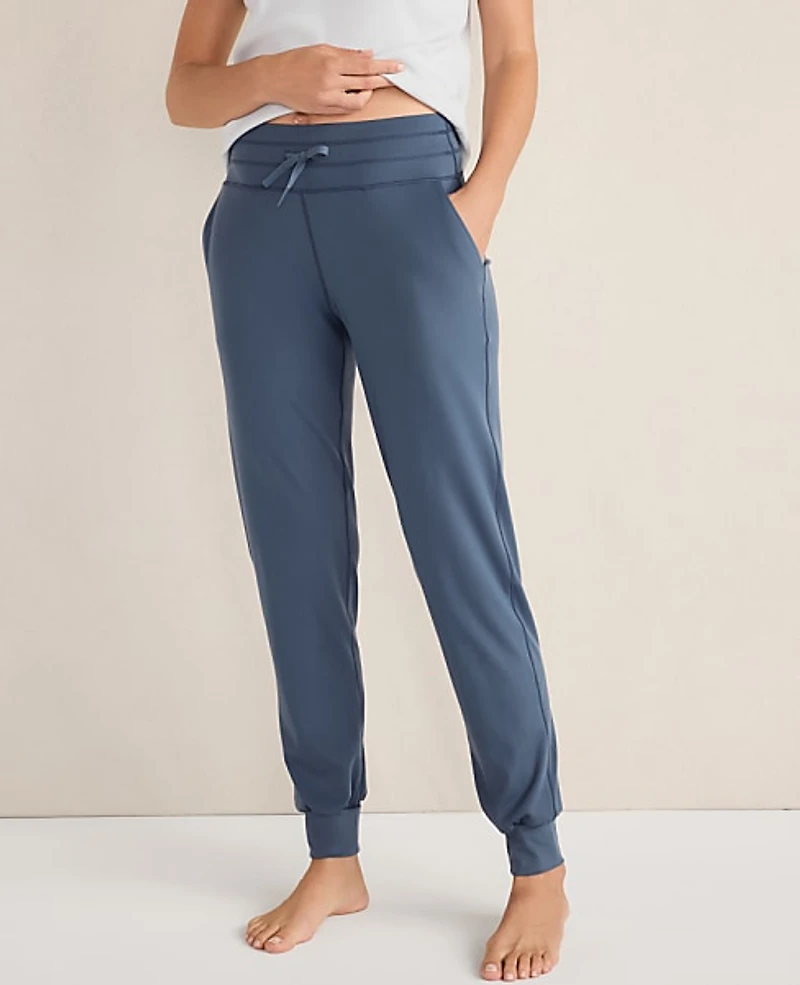Ann Taylor Haven Well Within Balance Drawstring Joggers Women's