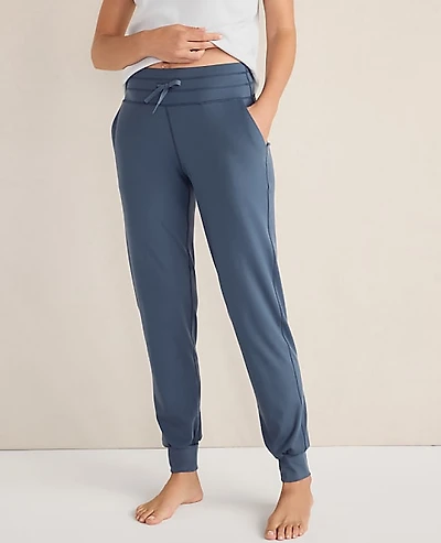 Ann Taylor Haven Well Within Balance Drawstring Joggers Women's