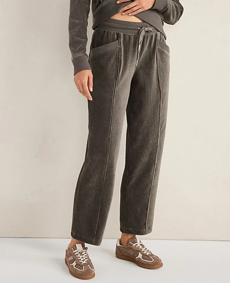 Ann Taylor Haven Well Within Corded Velour Pants Rainwash Blue Women's