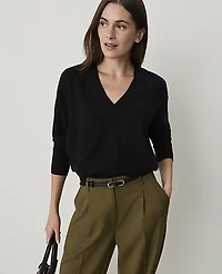 Ann Taylor V-Neck Sweater Women's