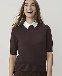 Ann Taylor Collared Mixed Media Sweater T-Shirt French Mocha Women's
