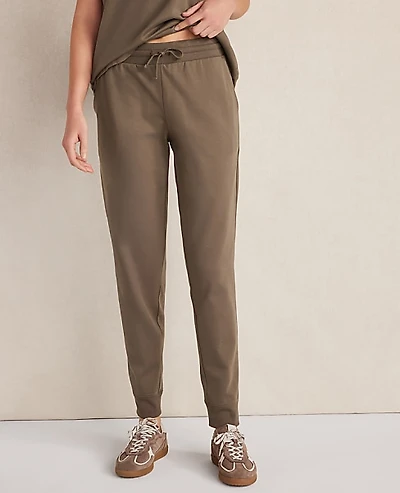 Ann Taylor Haven Well Within Organic Cotton Interlock Joggers Brown Women's