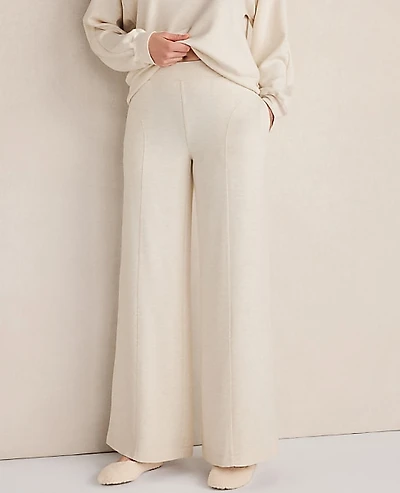 Ann Taylor Haven Well Within Soft Knit Wide Leg Pants Sandstone Women's