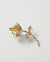 Ann Taylor Metal Rose Brooch Goldtone Women's