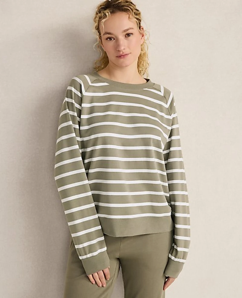 Ann Taylor Haven Well Within Organic Cotton Interlock Everyday Sweatshirt Vetiver Women's