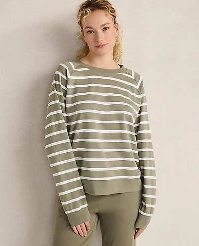 Ann Taylor Haven Well Within Organic Cotton Interlock Everyday Sweatshirt Vetiver Women's