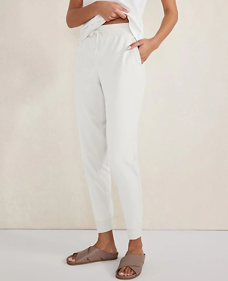 Ann Taylor Haven Well Within Organic Cotton Interlock Joggers White Women's