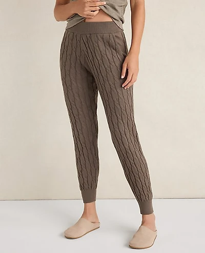 Ann Taylor Haven Well Within Organic Cotton Cashmere Cable Joggers Size Medium Saddle Brown Women's