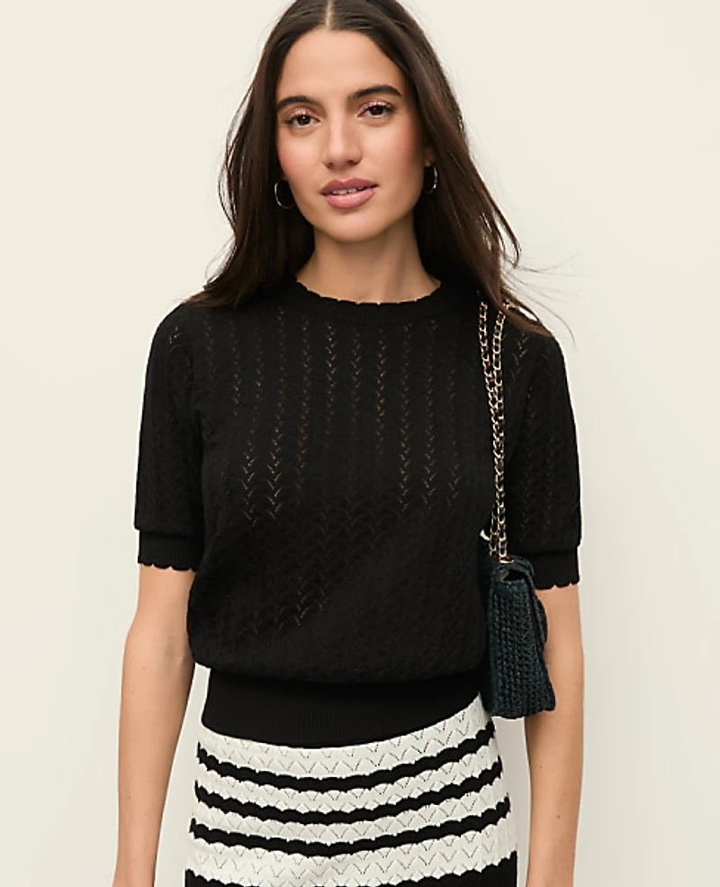 Ann Taylor Petite Pointelle Sweater T-Shirt Women's
