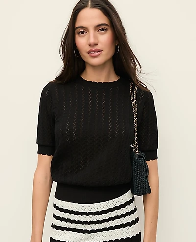 Ann Taylor Petite Pointelle Sweater T-Shirt Women's
