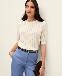 Ann Taylor Petite Pointelle Sweater T-Shirt Women's
