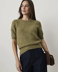 Ann Taylor Modern Sweater T-Shirt Women's