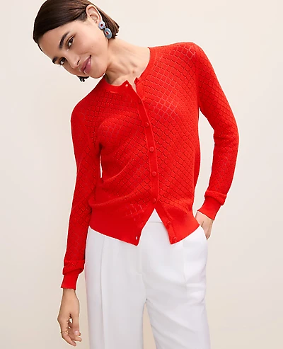 Ann Taylor Petite Pointelle Stitch Cardigan Aperol Women's