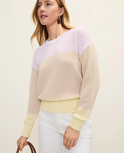 Ann Taylor Petite Colorblock Crew Neck Sweater Women's
