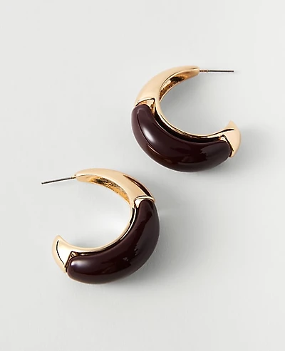 Ann Taylor Metal Enamel Hoop Earrings Women's