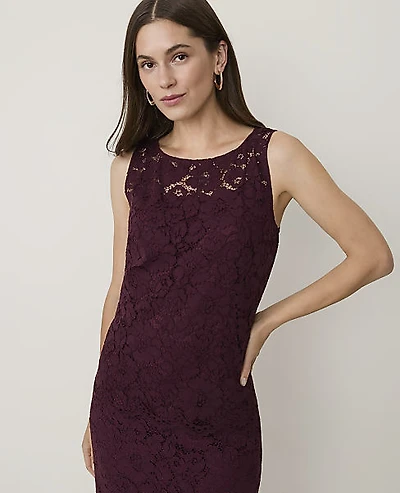 Ann Taylor Sleeveless Lace Top Poised Plum Women's