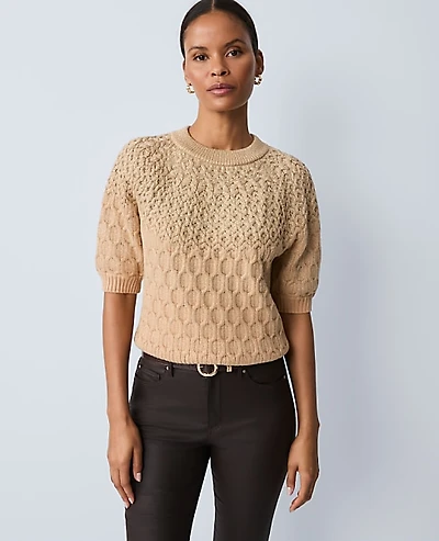 Ann Taylor Petite Shimmer Cable Sweater T-Shirt Women's
