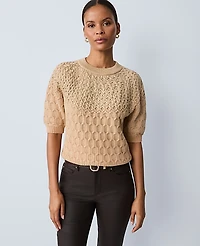 Ann Taylor Petite Shimmer Cable Sweater T-Shirt Women's