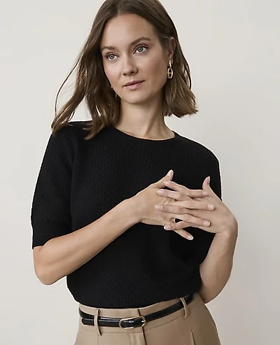Ann Taylor Petite Pointelle Stitch Wedge T-Shirt Women's
