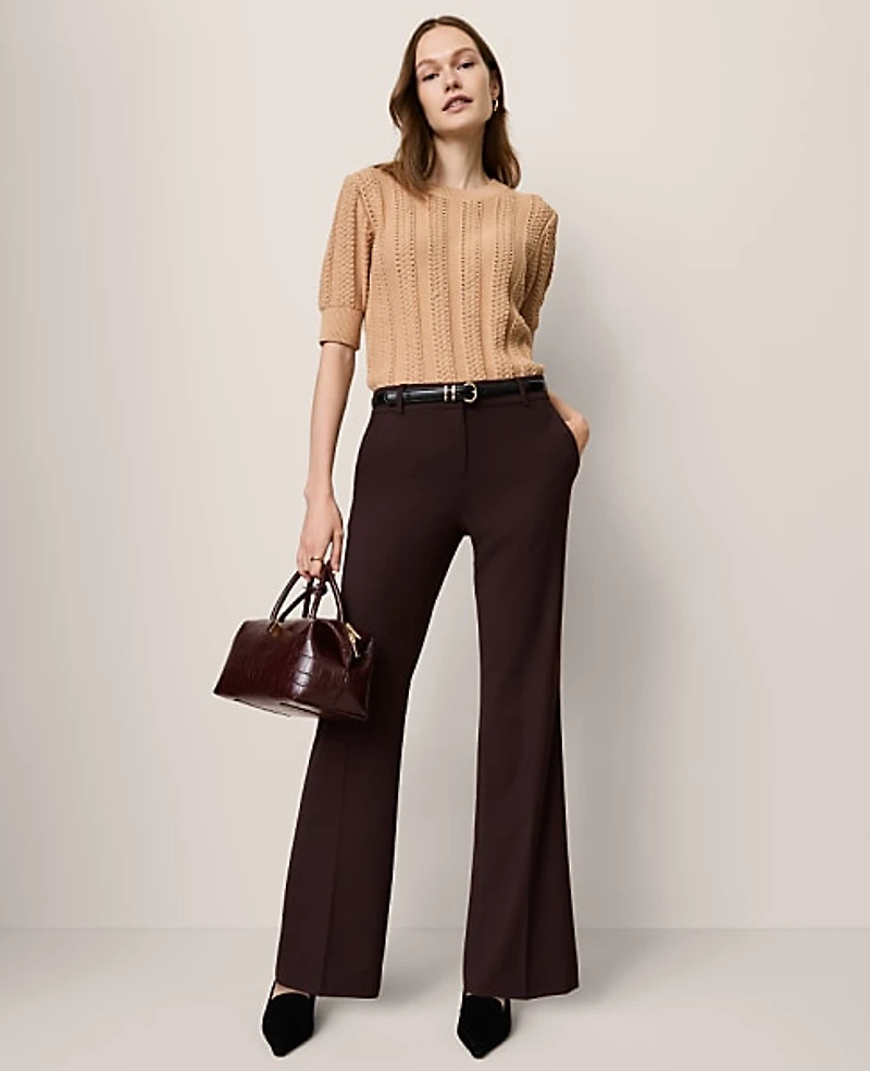 Ann Taylor The Petite Jayne Trouser Pure Chocolate Women's