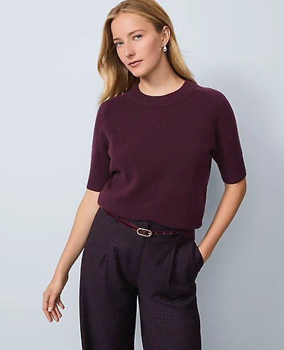 Ann Taylor Cashmere Sweater T-Shirt Deep Cabernet Women's
