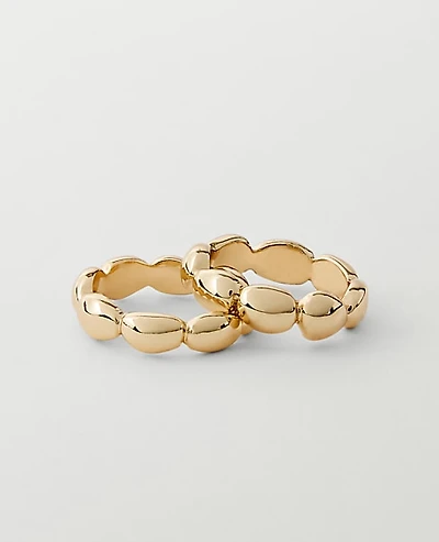Ann Taylor Metal Disc Ring Set Goldtone Women's