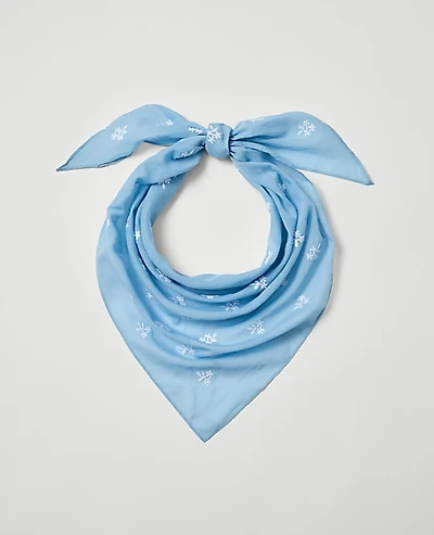 Ann Taylor Weekend Embroidered Scarf Daybreak Blue Women's