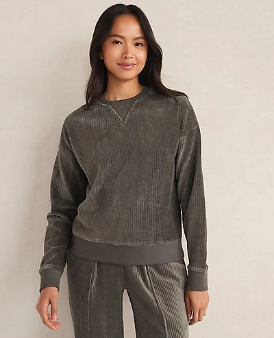 Ann Taylor Haven Well Within Corded Velour Crewneck Pullover Rainwash Blue Women's