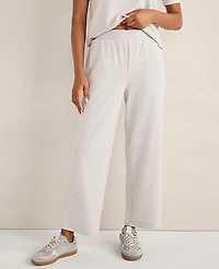 Ann Taylor Haven Well Within Cozy Knit Cropped Pants Light Grey Heather Women's