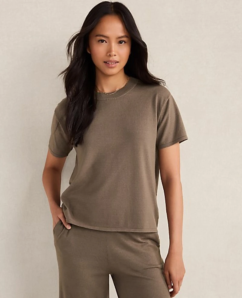 Ann Taylor Haven Well Within Relaxed Jersey T-Shirt Saddle Brown Women's