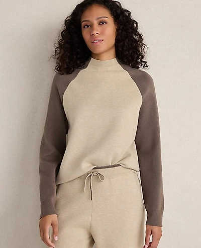 Ann Taylor Haven Well Within Viscose Blend Colorblock Crewneck Marl Brown Heather Women's
