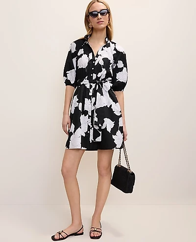 Ann Taylor Petite Floral Ruffle Collar Mini Dress Black Women's