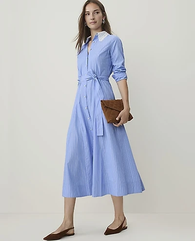 Ann Taylor Petite Striped Lace Collar Midi Shirtdress White-Blue Women's