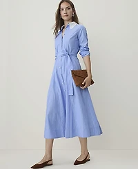 Ann Taylor Petite Striped Lace Collar Midi Shirtdress White-Blue Women's