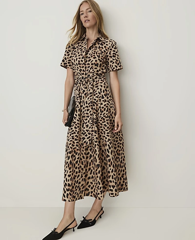 Ann Taylor Animal Print Collared Midi Shirtdress Cafe Au Lait B Women's