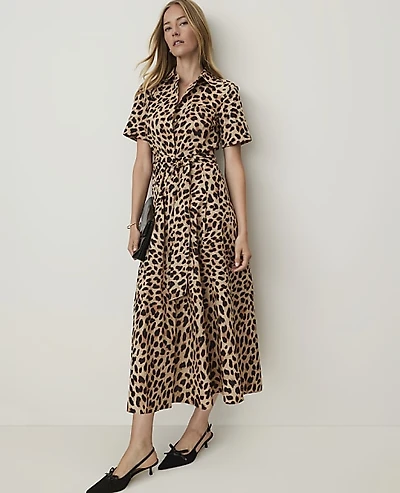 Ann Taylor Animal Print Collared Midi Shirtdress Cafe Au Lait B Women's