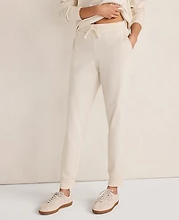 Ann Taylor Haven Well Within Botanical-Dyed Organic Cotton Interlock Joggers Sandstone Women's