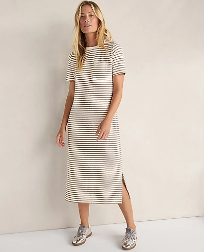 Ann Taylor Haven Well Within Cotton Blend Textured T-Shirt Dress Chestnut Brown Women's