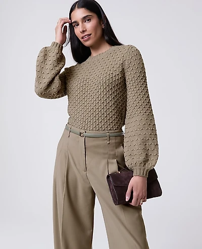 Ann Taylor Honeycomb Cable Crew Neck Sweater Women's