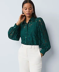 Ann Taylor Petite Lace Blouse Size Medium Ponderosa Pine Women's