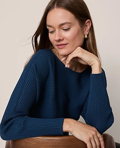 Ann Taylor Petite Ribbed Boatneck Sweater Size 2XS Moonlit Backdrop Women's