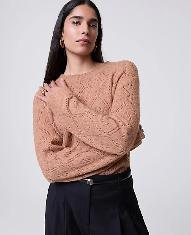 Ann Taylor Petite Pointelle Crew Neck Sweater Women's