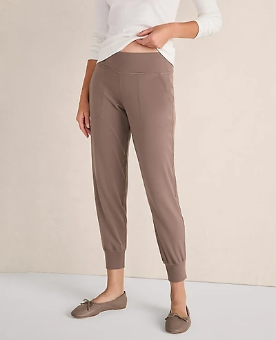 Ann Taylor Haven Well Within Balance Joggers Women's