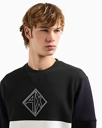 Color block crewneck sweatshirt with logo