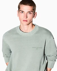 Crewneck Sweatshirt with embroidery