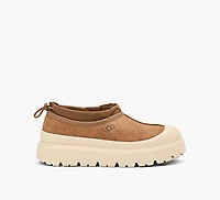 TASMAN WEATHER HYBRID