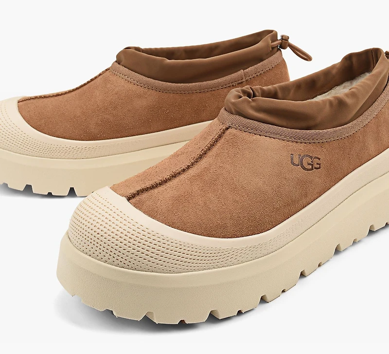 TASMAN WEATHER HYBRID