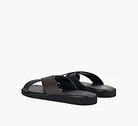 DARREL SLIDE